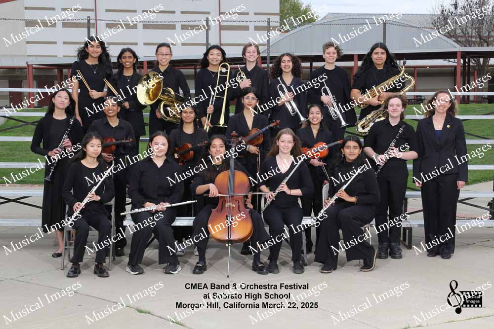 Musical Images